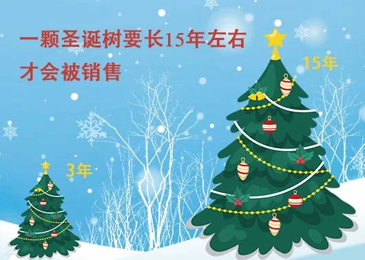 中國(guó)最早報(bào)道圣誕節(jié)的竟是《人民日?qǐng)?bào)》，你不知道的10個(gè)圣誕小知識(shí)